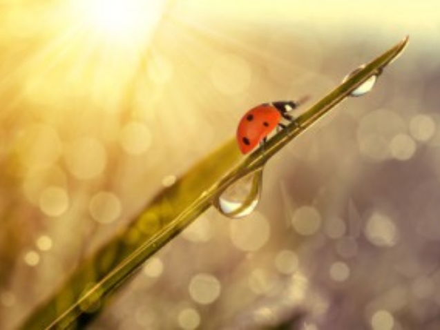 Fotolia_93546260_XS-300x214