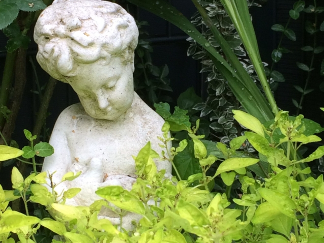 Frieda-e1469193309270