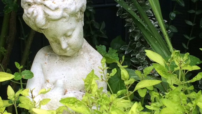 Frieda-e1469193309270