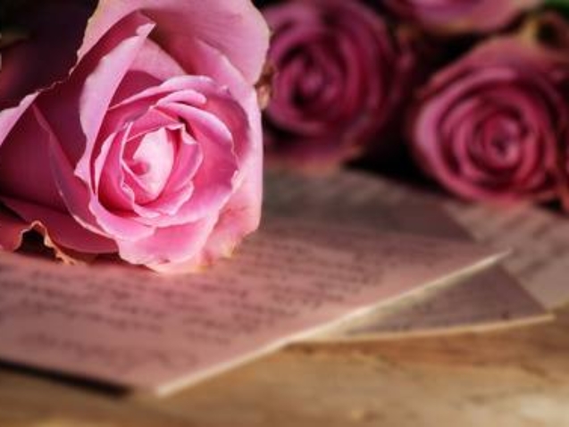 rose-und-buch