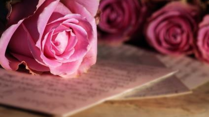 rose-und-buch