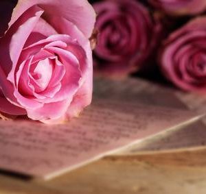 rose-und-buch