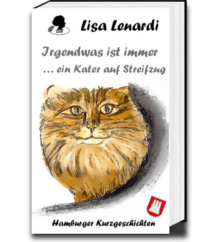 Cover SDE_Irgendwas3